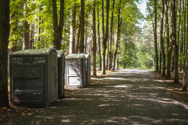 Porta potty rental for festivals in Spring Lake Park, MN